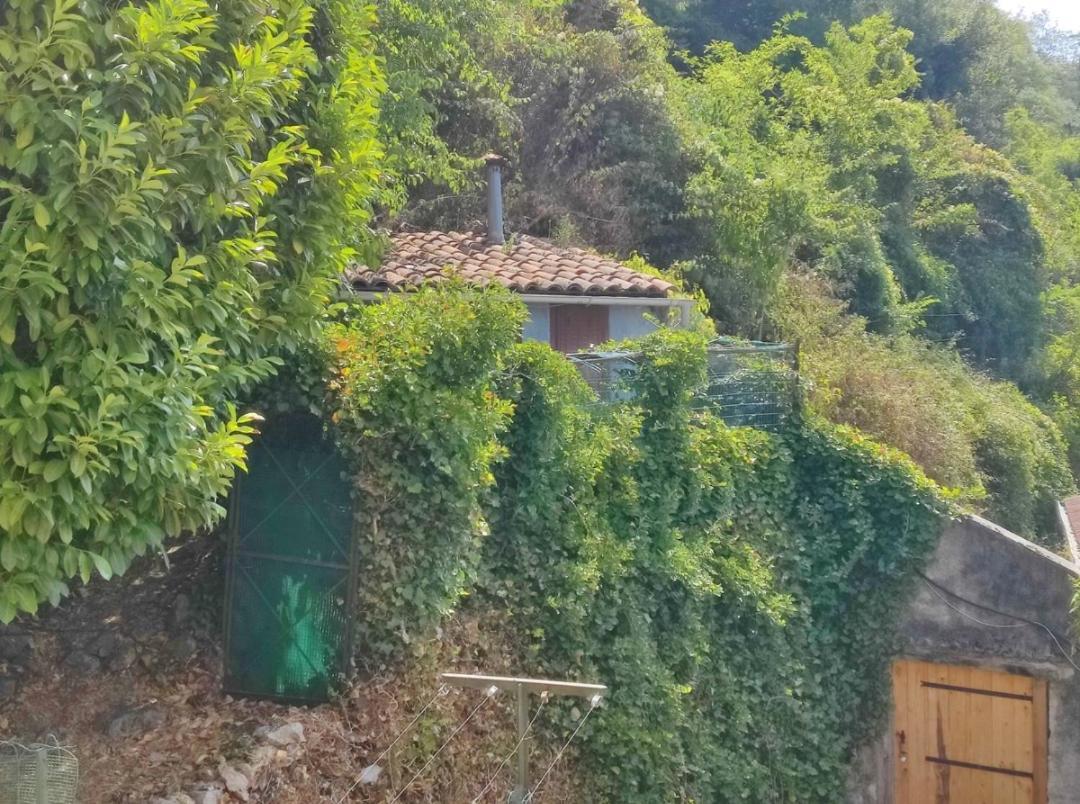 Hebergements Entiers Two Homes T1 Bas Or T1 Haut -Aux Terrasses Du Pech Foix Εξωτερικό φωτογραφία
