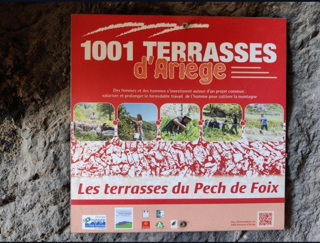 Hebergements Entiers Two Homes T1 Bas Or T1 Haut -Aux Terrasses Du Pech Foix Εξωτερικό φωτογραφία